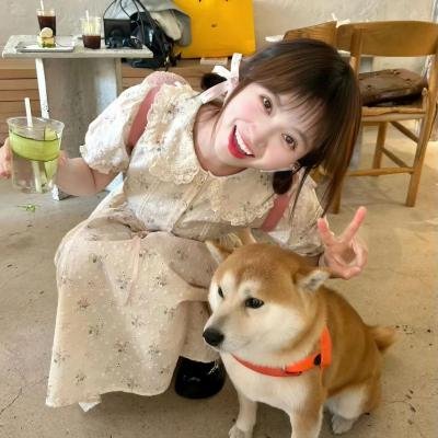 既然出生就环游世界3