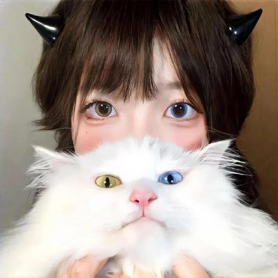 湾生回家